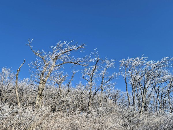 Descubra como a atividade física pode ser sua aliada na prevenção da demência.